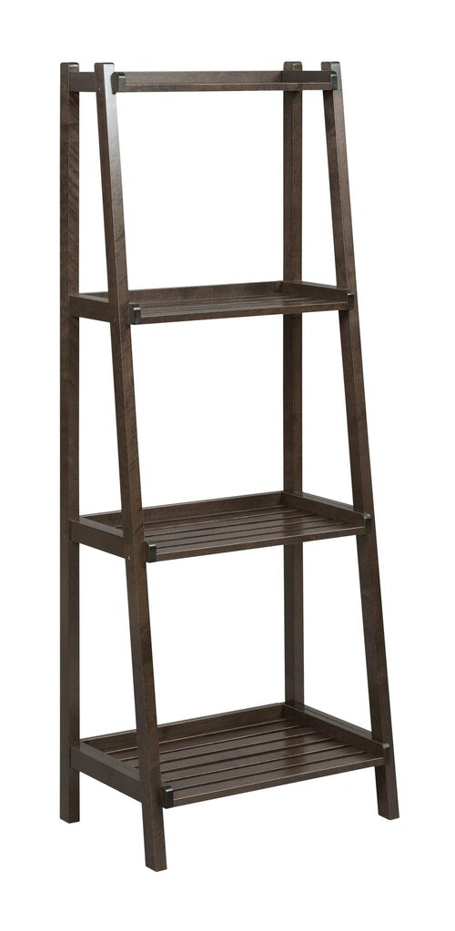 Dunnsville 4-Tier Ladder Leaning Shelf Bookcase - New Ridge Home